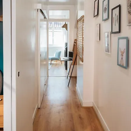Dify Elegance - Vieux Apartment *